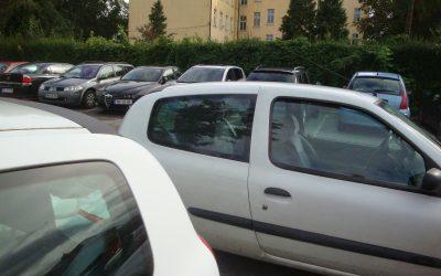 Žarki sonca za nove tri…