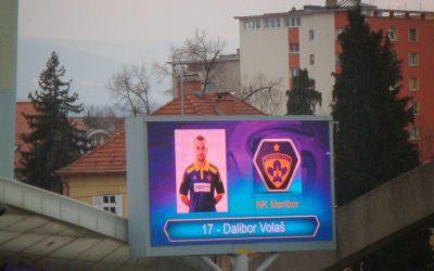 Dalibor, dobrodošel doma…