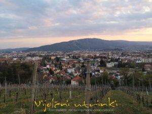 Veliki koraki MaleMo