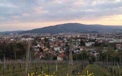Veliki koraki MaleMo
