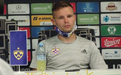 Pik komarja