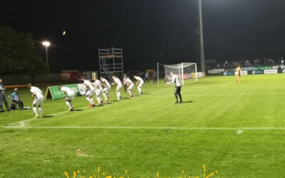 Pogled v ogledalo