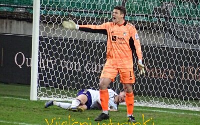 Videl…da bi vedel