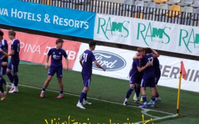 Bitje vijol’čnega srca